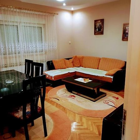 Stan na dan J&M Apartment Vrsac Bagian luar foto