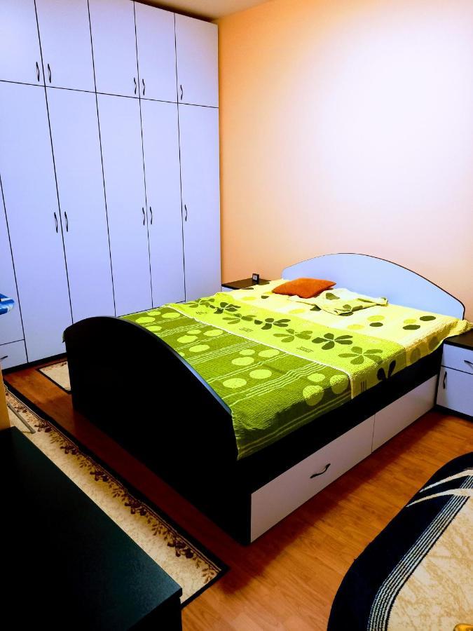 Stan na dan J&M Apartment Vrsac Bagian luar foto