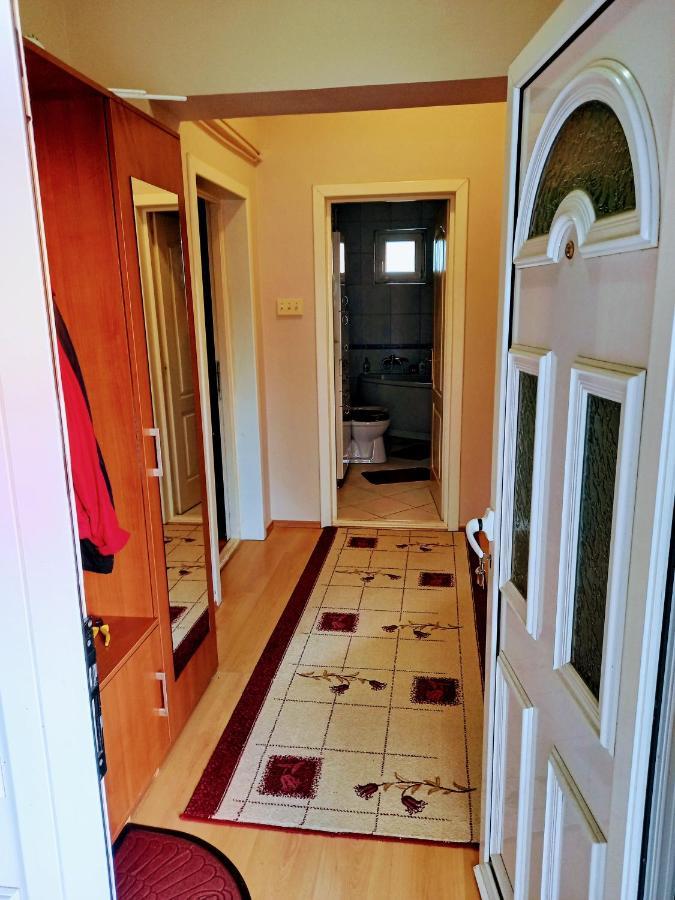 Stan na dan J&M Apartment Vrsac Bagian luar foto