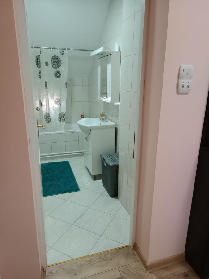 Stan na dan J&M Apartment Vrsac Bagian luar foto
