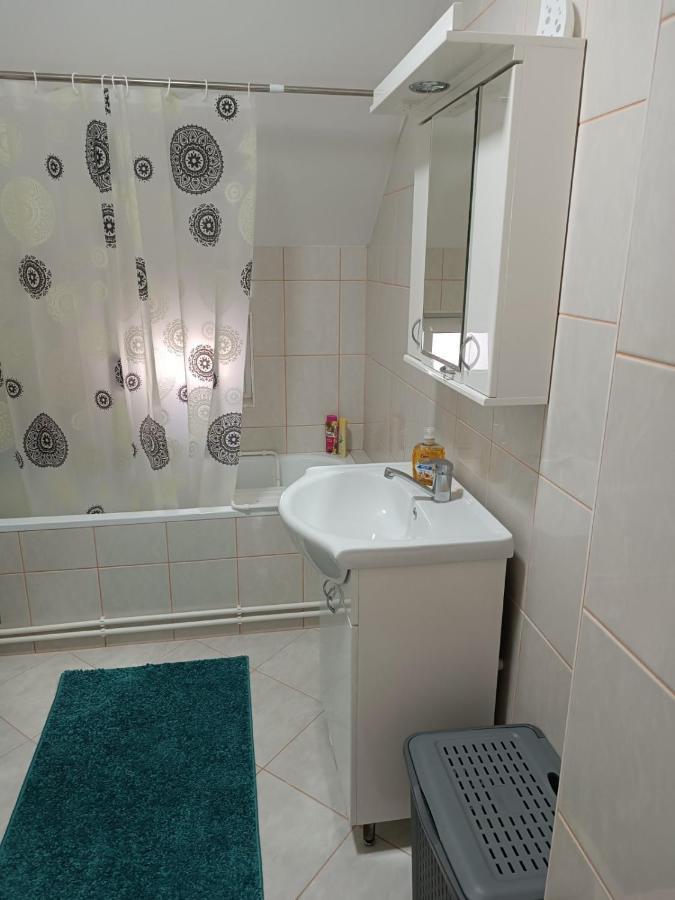 Stan na dan J&M Apartment Vrsac Bagian luar foto