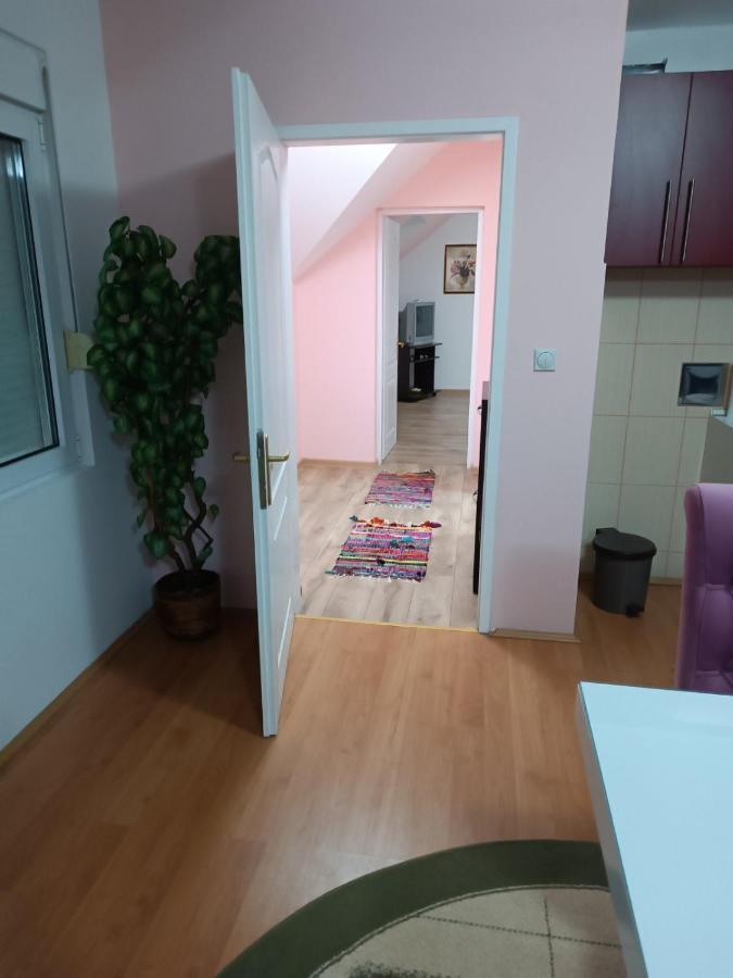 Stan na dan J&M Apartment Vrsac Bagian luar foto